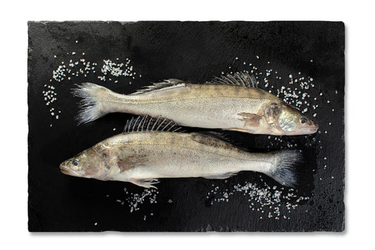 Zander küchenfertig